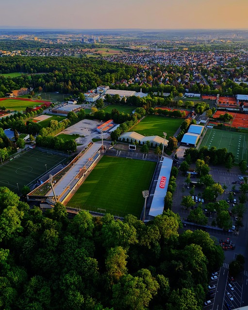 他在逆境中 他在逆境中