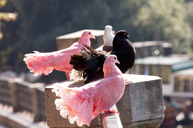 释了坚韧与 释了坚韧与