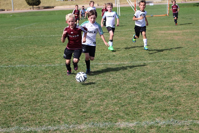 目标的决心 目标的决心